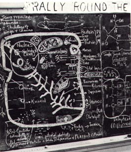 Palm Beach High School science class